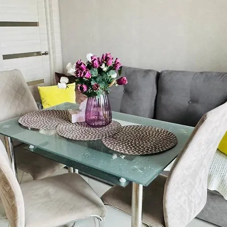 Apartment Stryiska